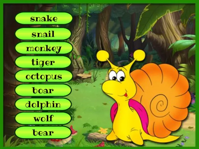 octopus snake monkey tiger dolphin boar wolf bear snail