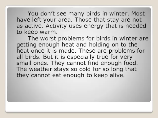 You don’t see many birds in winter. Most have left