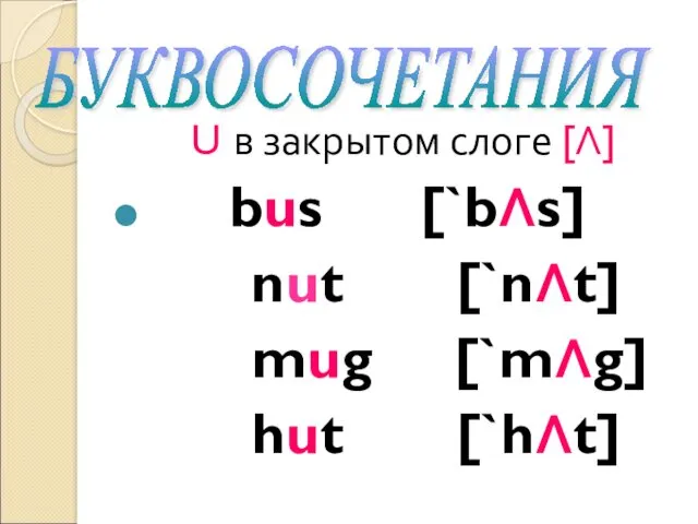 U в закрытом слоге [Λ] bus [`bΛs] nut [`nΛt] mug [`mΛg] hut [`hΛt] БУКВОСОЧЕТАНИЯ