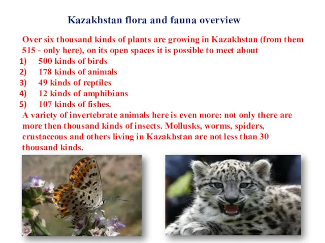 Kazakhstan flora and fauna overview Over six thousand kinds of