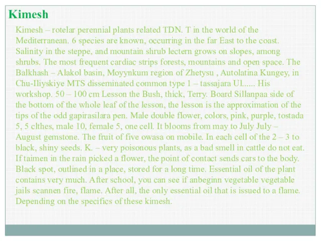 Kimesh – rotelar perennial plants related TDN. T in the