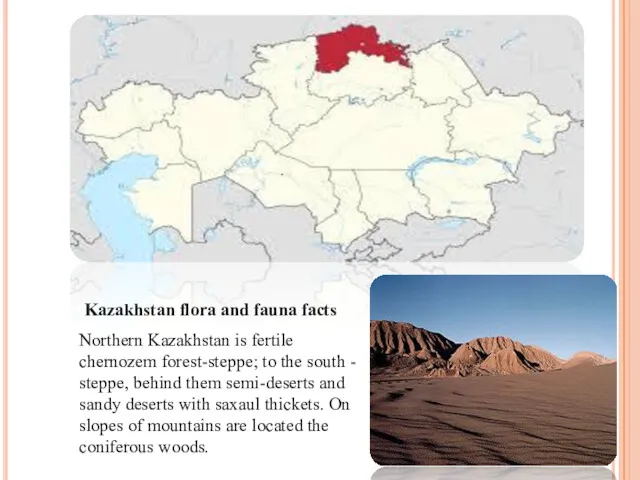 Kazakhstan flora and fauna facts Northern Kazakhstan is fertile chernozem