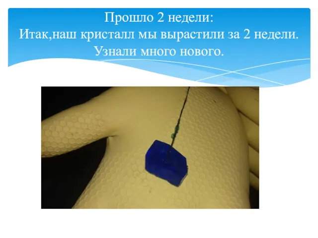 Прошло 2 недели: Итак,наш кристалл мы вырастили за 2 недели.Узнали много нового.