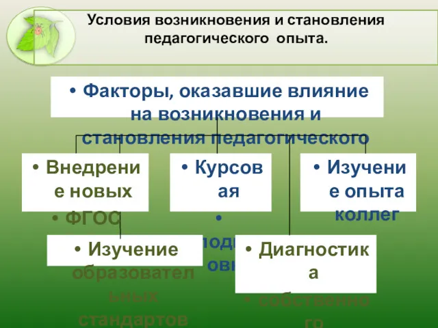 Условия возникновения и становления педагогического опыта.