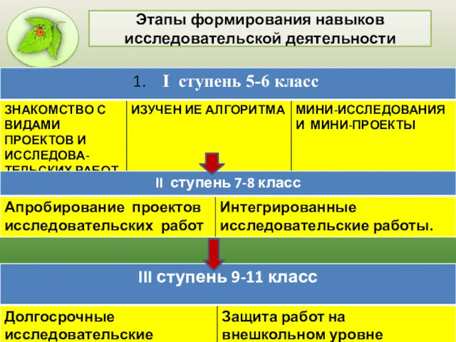 Этапы формирования навыков исследовательской деятельности