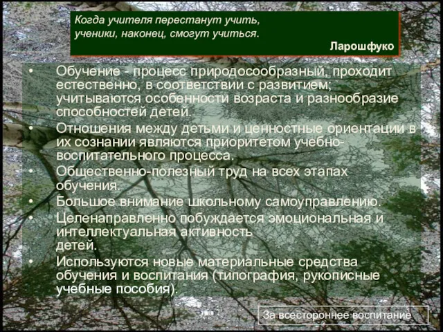 Технология свободного труда (С.Френе) Концептуальные положения Обучение - процесс природосообразный,