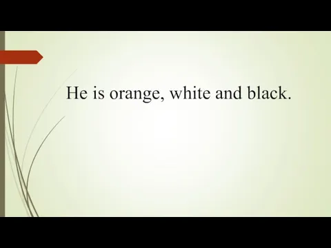 He is orange, white and black.