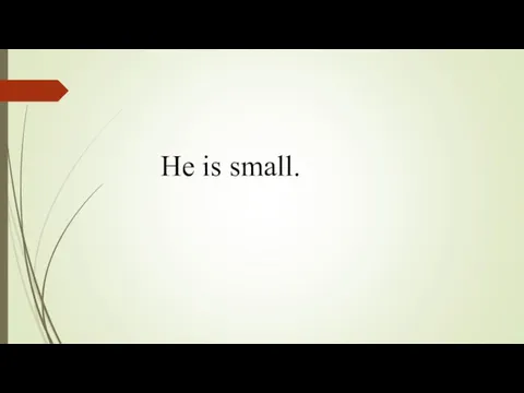 He is small.