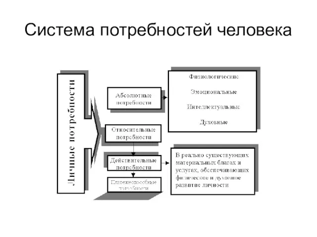 Система потребностей человека