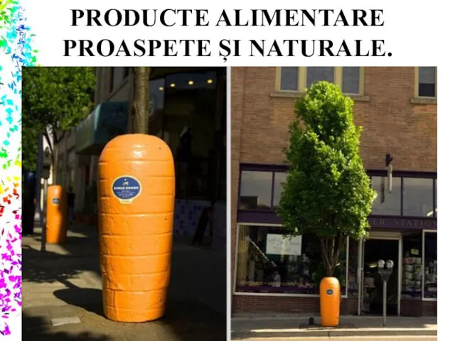 PRODUCTE ALIMENTARE PROASPETE ȘI NATURALE.