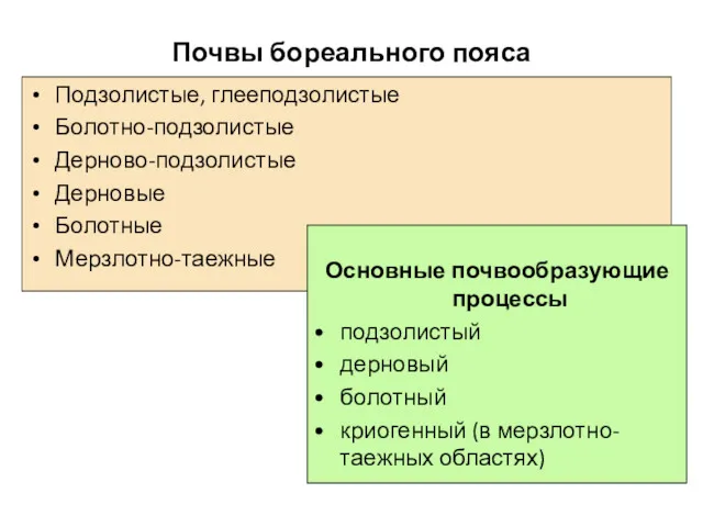 Почвы бореального пояса Подзолистые, глееподзолистые Болотно-подзолистые Дерново-подзолистые Дерновые Болотные Мерзлотно-таежные