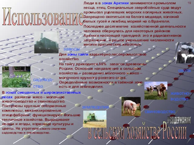 Использование в сельском хозяйстве России К СОДЕРЖАНИЮ