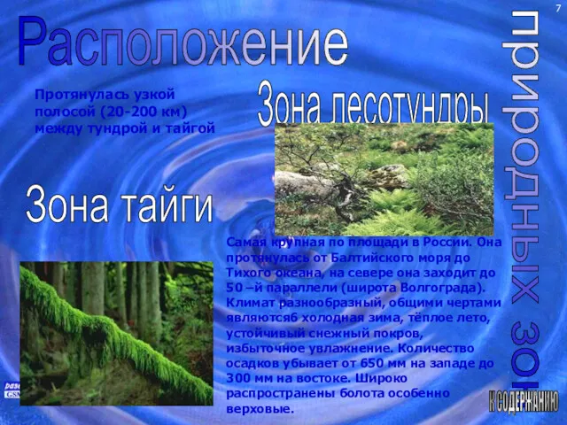 Расположение природных зон Зона лесотундры Зона тайги К СОДЕРЖАНИЮ