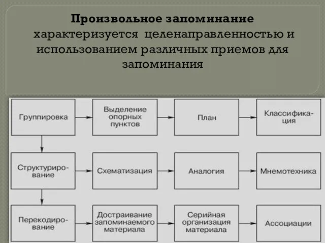 Произвольное запоминание характеризуется целенаправленностью и использованием различных приемов для запоминания