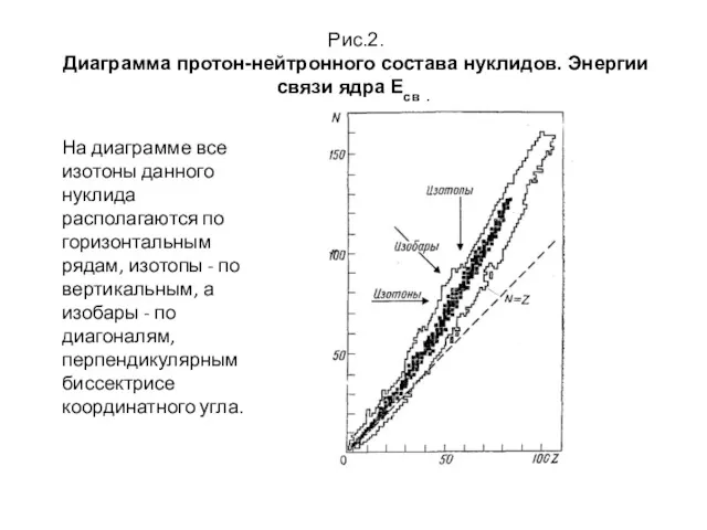 Рис.2. Диаграмма протон-нейтронного состава нуклидов. Энергии связи ядра Есв .