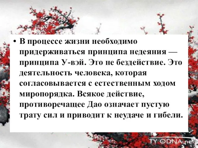 В процессе жизни необходимо придерживаться принципа недеяния — принципа У-вэй.