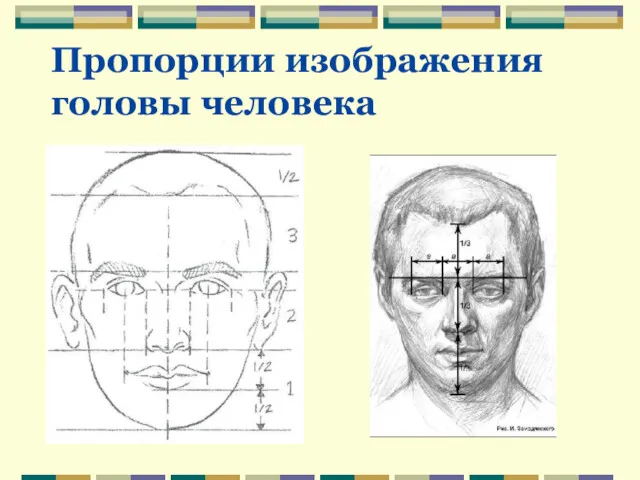Пропорции изображения головы человека