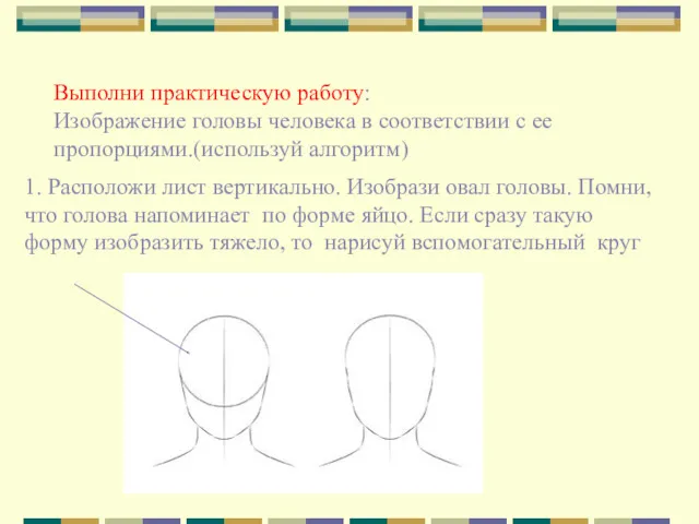 Выполни практическую работу: Изображение головы человека в соответствии с ее пропорциями.(используй алгоритм) 1.