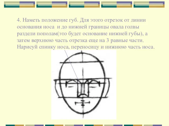 4. Наметь положение губ. Для этого отрезок от линии основания