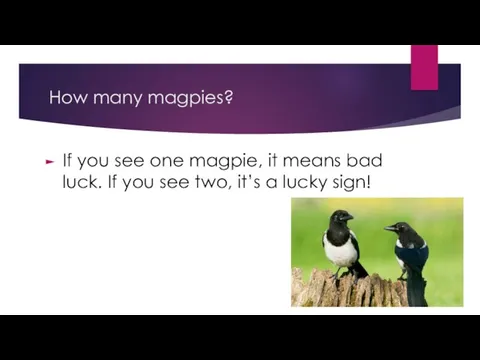 How many magpies? If you see one magpie, it means