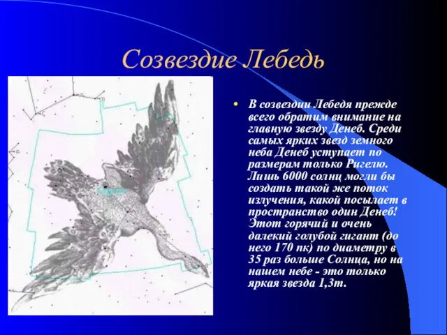 Созвездие Лебедь В созвездии Лебедя прежде всего обратим внимание на