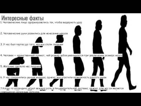 Интересные факты 1. Человеческие лица сформировались так, чтобы выдержать удар