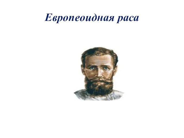 Европеоидная раса