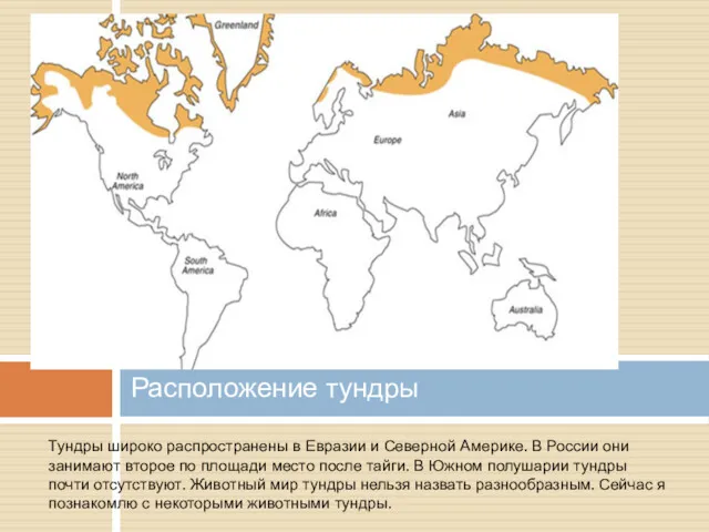 Расположение тундры Тундры широко распространены в Евразии и Северной Америке.