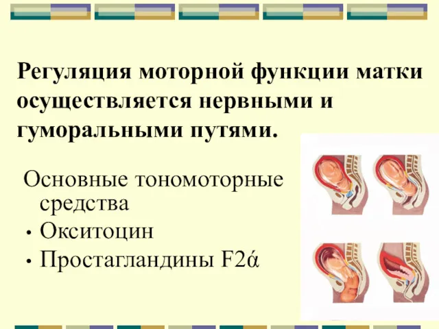 Регуляция моторной функции матки осуществляется нервными и гуморальными путями. Основные тономоторные средства Окситоцин Простагландины F2ά