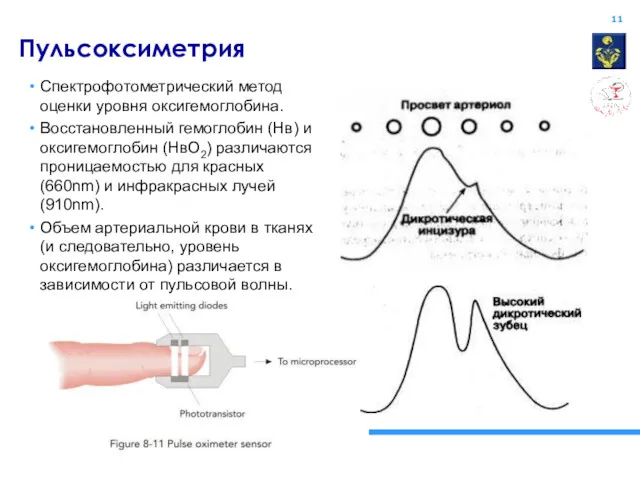 Пульсоксиметрия Спектрофотометрический метод оценки уровня оксигемоглобина. Восстановленный гемоглобин (Нв) и