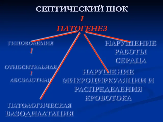 СЕПТИЧЕСКИЙ ШОК I ПАТОГЕНЕЗ ГИПОВОЛЕМИЯ I ОТНОСИТЕЛЬНАЯ I АБСОЛЮТНАЯ ПАТОЛОГИЧЕСКАЯ