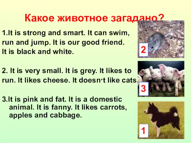 Какое животное загадано? 1.It is strong and smart. It can