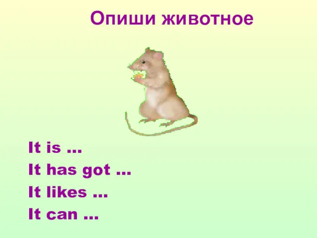 Опиши животное It is … It has got … It likes … It can …