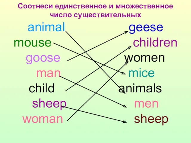 Соотнеси единственное и множественное число существительных animal geese mouse children