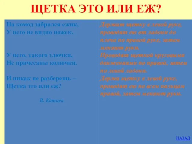 ЩЕТКА ЭТО ИЛИ ЕЖ?