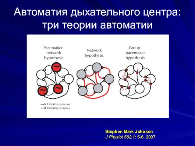 Автоматия дыхательного центра: три теории автоматии