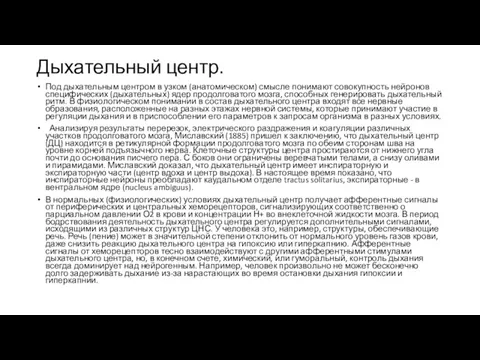 Дыхательный центр. Под дыхательным центром в узком (анатомическом) смысле понимают