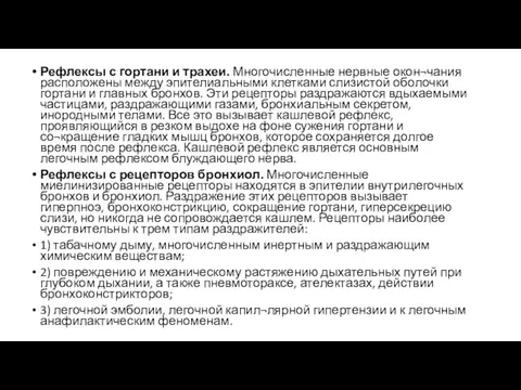 Рефлексы с гортани и трахеи. Многочисленные нервные окон¬чания расположены между