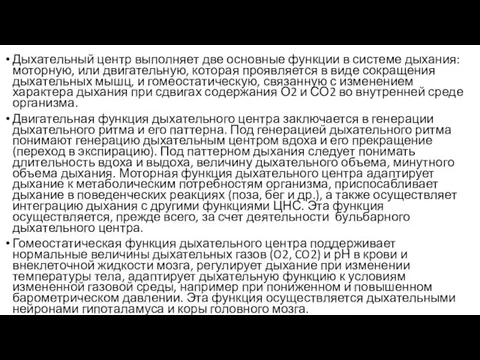 Дыхательный центр выполняет две основные функции в системе дыхания: моторную,