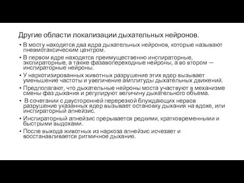 Другие области локализации дыхательных нейронов. В мосту находятся два ядра