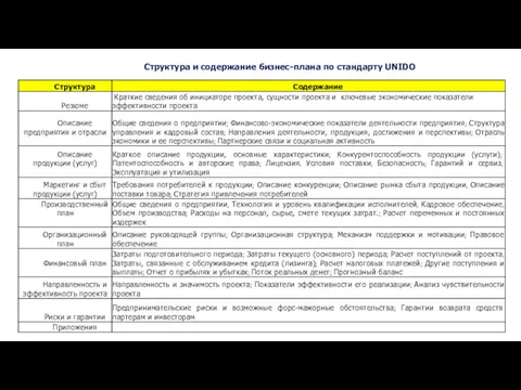 Структура и содержание бизнес-плана по стандарту UNIDO