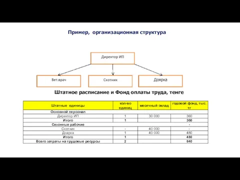 Пример, организационная структура Штатное расписание и Фонд оплаты труда, тенге