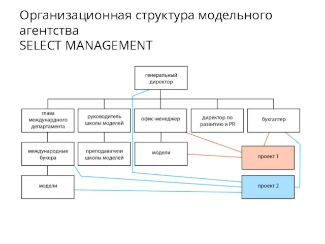 Организационная структура модельного агентства SELECT MANAGEMENT