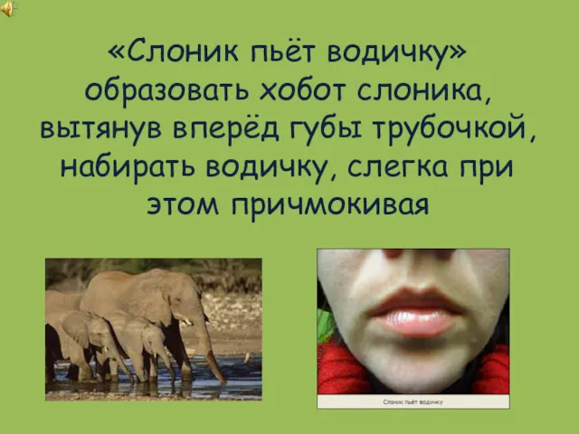 «Слоник пьёт водичку» образовать хобот слоника, вытянув вперёд губы трубочкой, набирать водичку, слегка при этом причмокивая