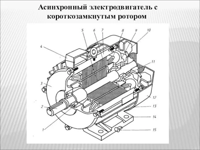 Асинхронный электродвигатель с короткозамкнутым ротором