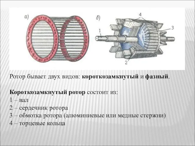 Ротор бывает двух видов: короткозамкнутый и фазный. Короткозамкнутый ротор состоит