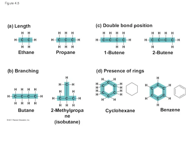 Figure 4.5 (a) Length Ethane 1-Butene (c) Double bond position