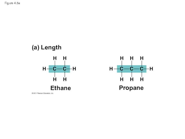 Figure 4.5a (a) Length Ethane Propane