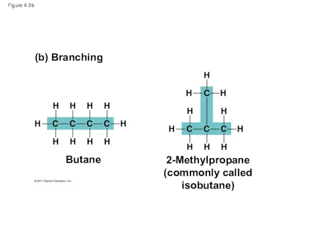 Figure 4.5b (b) Branching Butane 2-Methylpropane (commonly called isobutane)