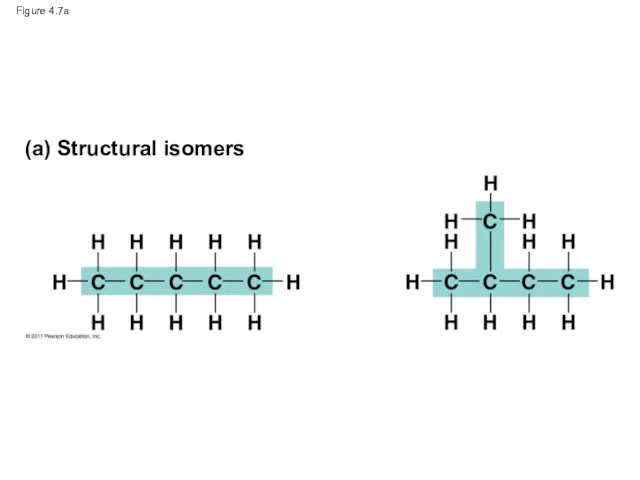 Figure 4.7a (a) Structural isomers